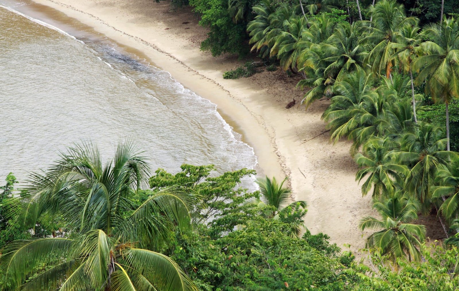 "Beach of the Englishman's Bay near Castara (Tobago, West Indies)"