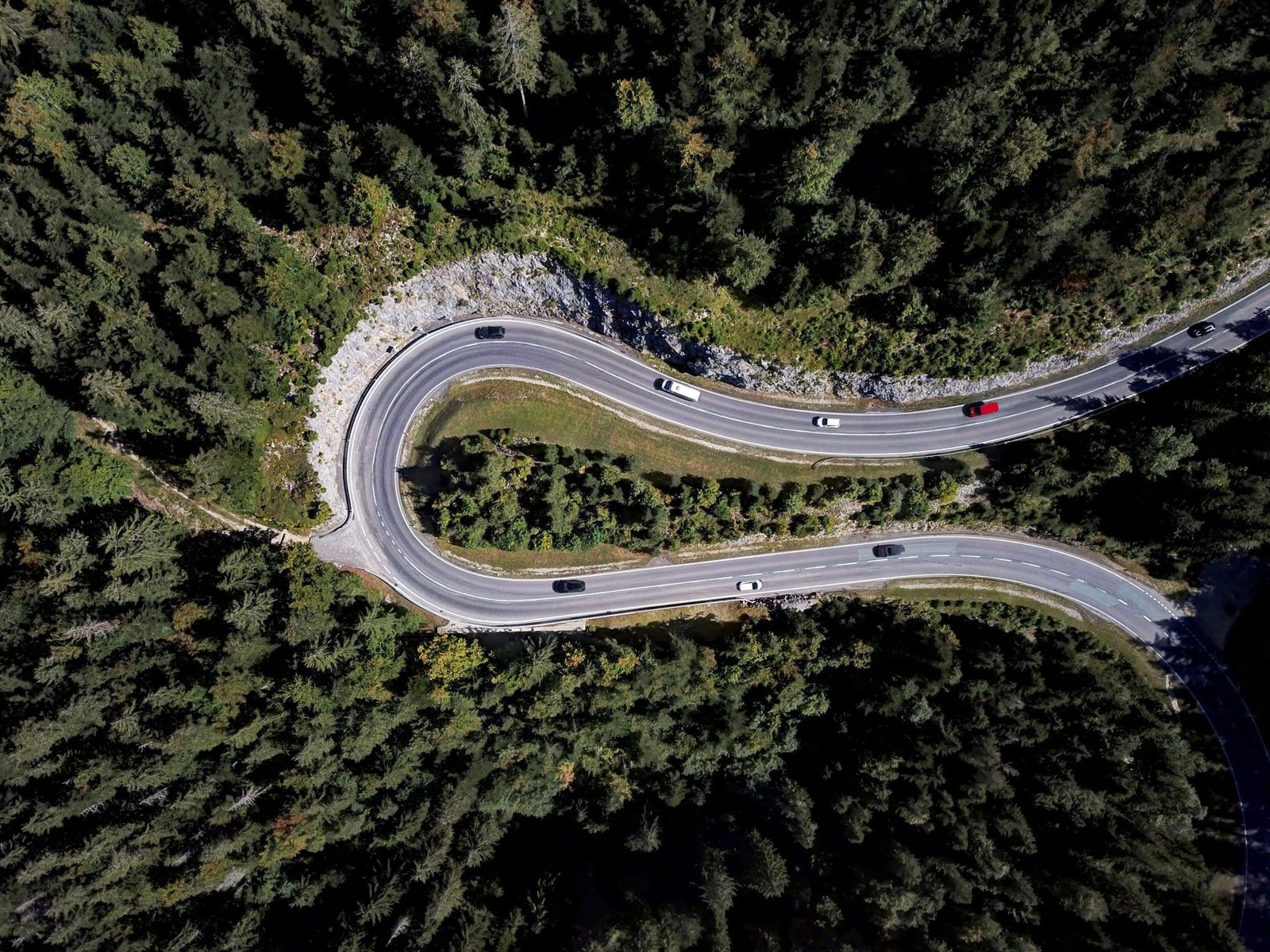 road in black forest from above, trees surround it