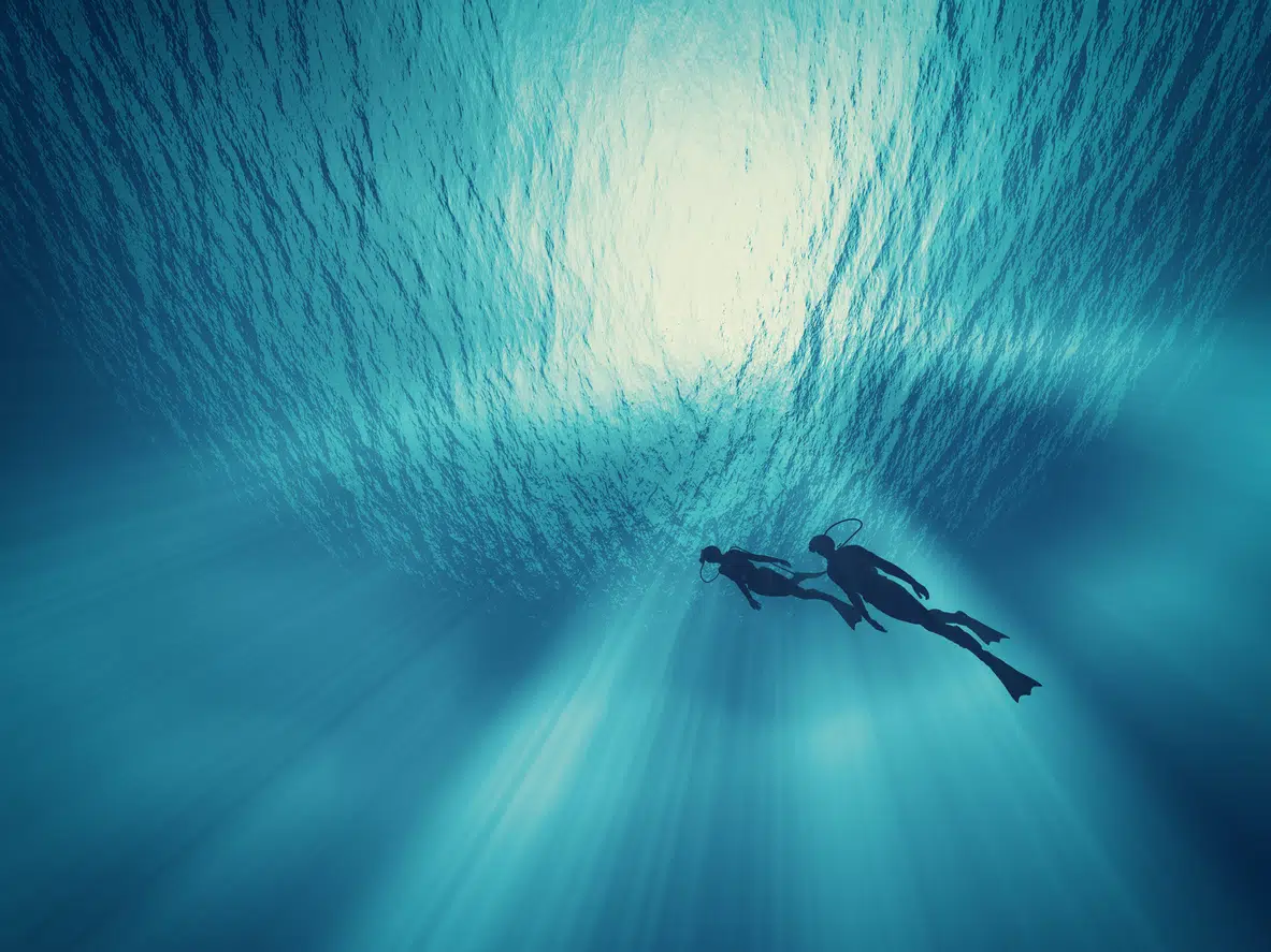 Divers swimming in the sea