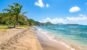 White sandy beach with palm tree and blue sky with white clouds in Saint Kitts, Caribbean.