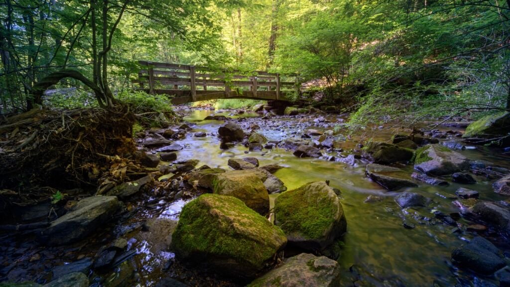 Stream and foot bridge at Hacklebarney State Park New Jersey