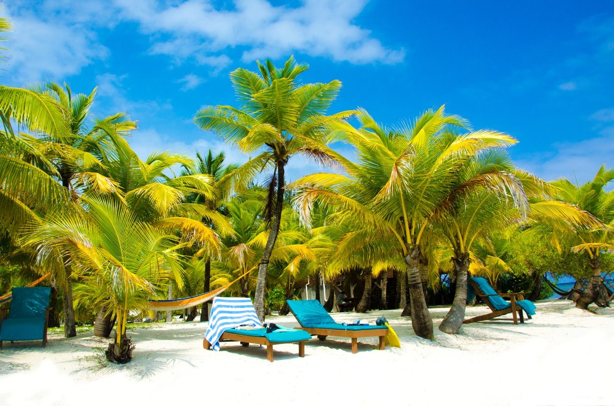White beach on beautiful island with chairs and palm trees