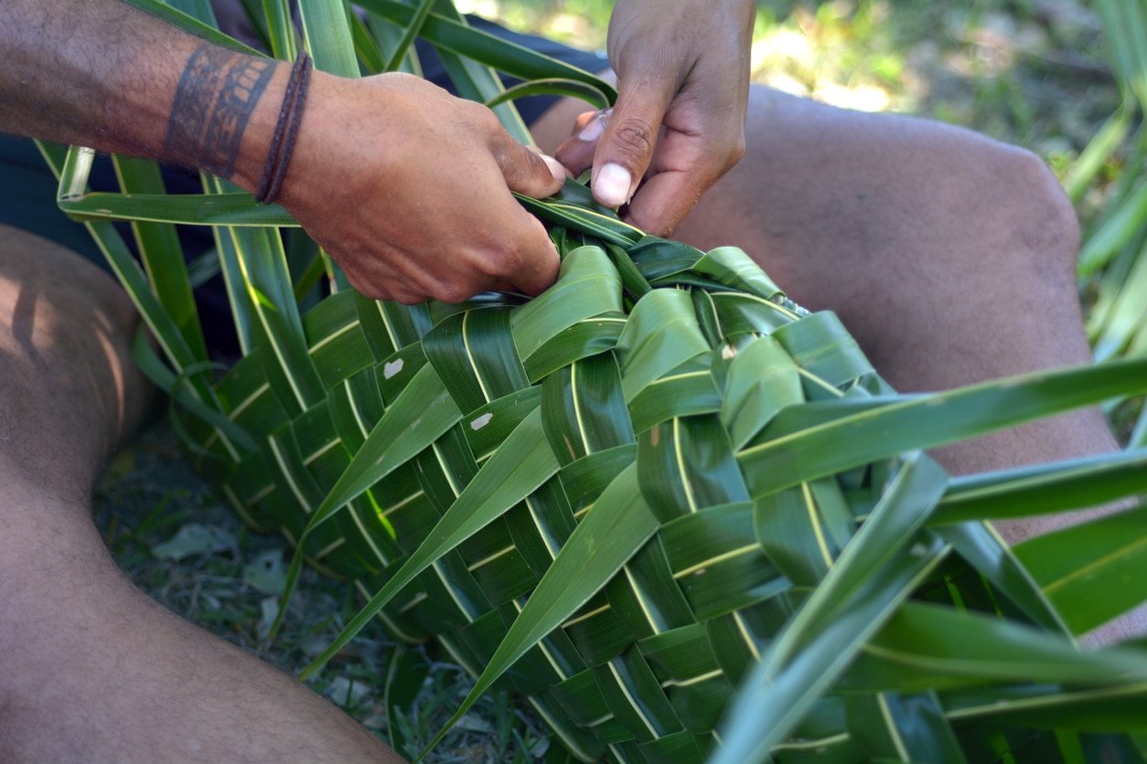 Fijian man preparing a basket mad out of palm tree leaves full with meat for Lovo. Lovo (Fijian cooking food underground) is commonly made during special events such as funerals, weddings, Christmas or birthdays.