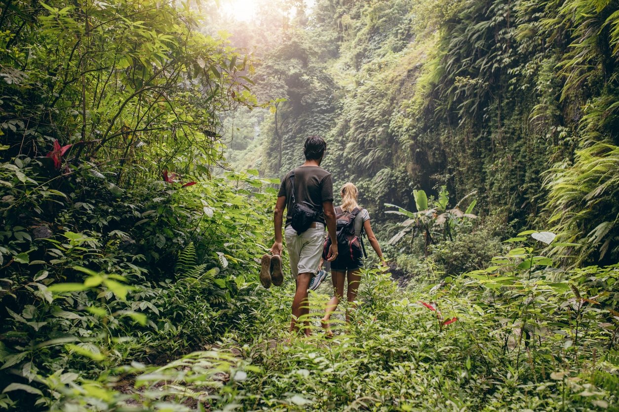 Young couple walking through rainforest