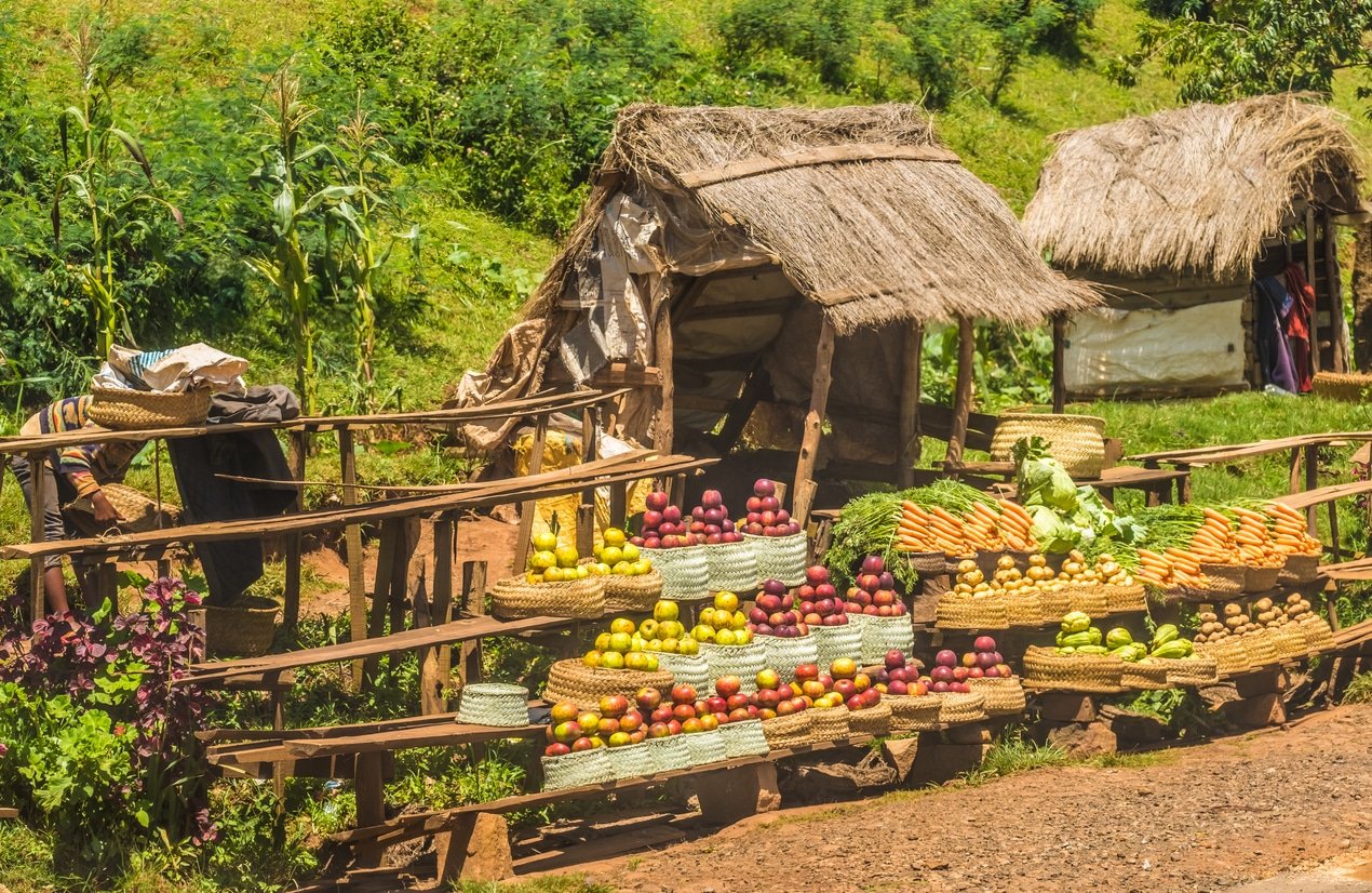 Tropical fruit and vegetable stands along the legendary National Route 7 near Antsirabe, Madagascar