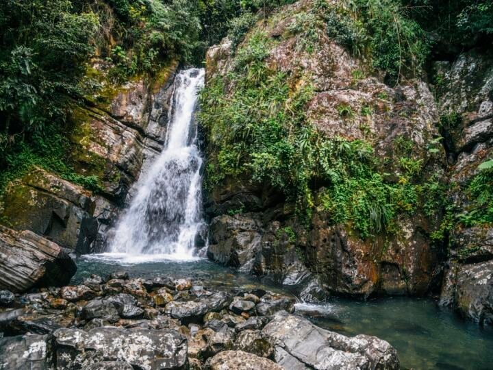 La Mina Falls - El Anvil National Forest