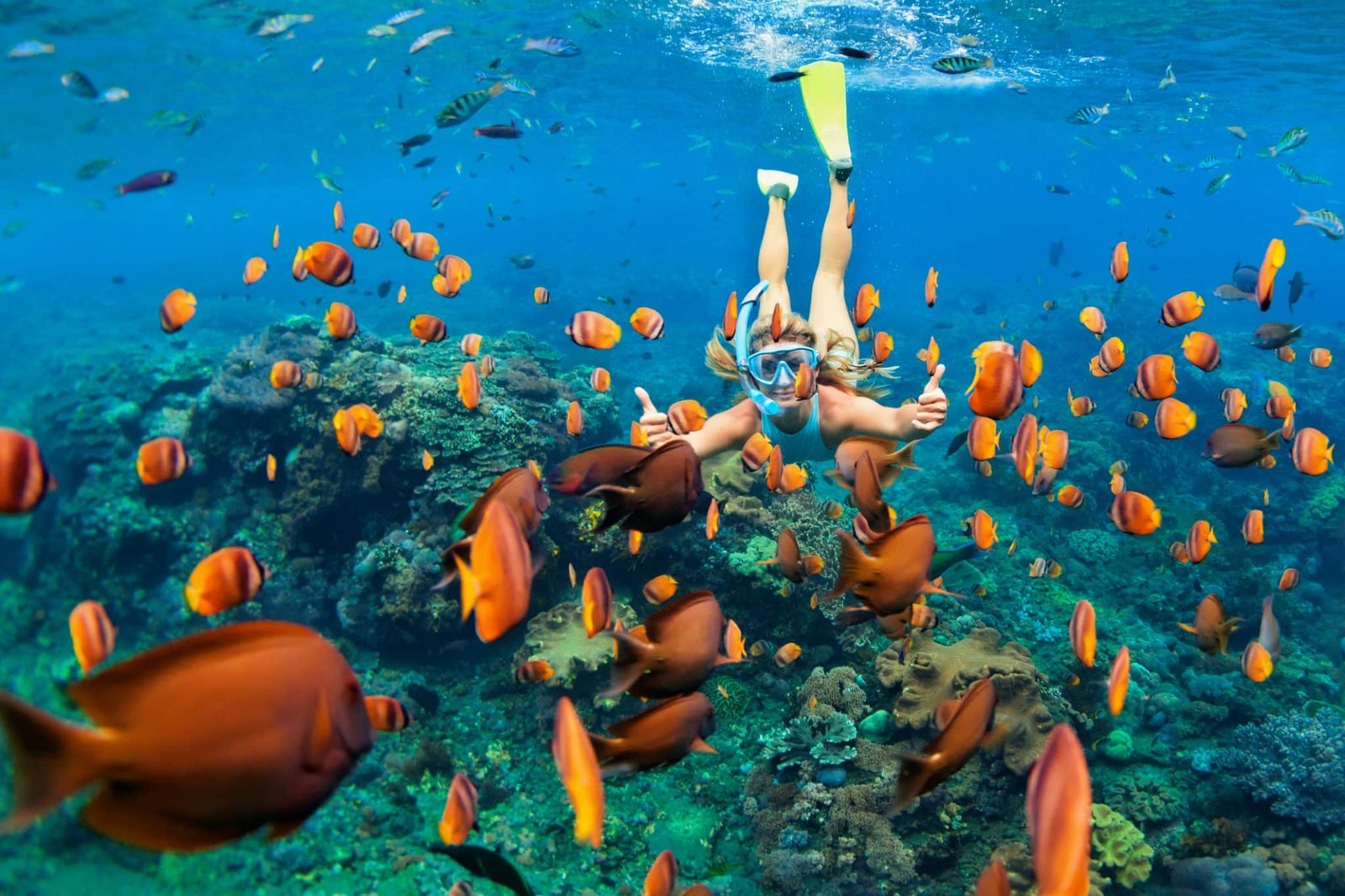 girl in snorkeling mask dive underwater with tropical fishes in coral reef sea pool.