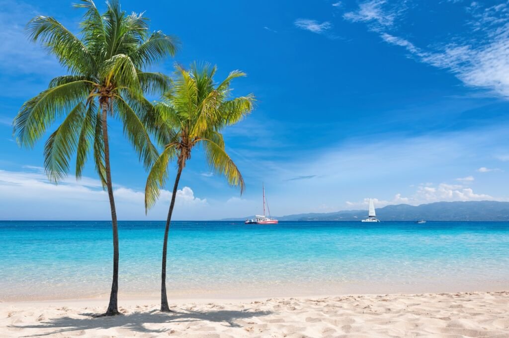 Palm trees on sunny Caribbean beach