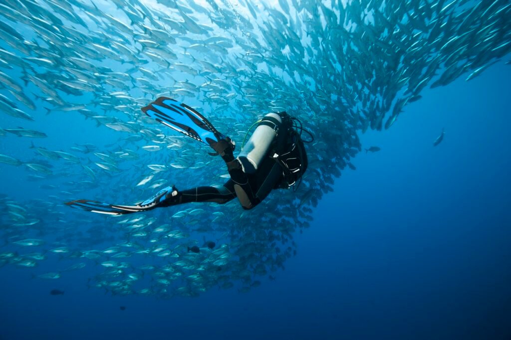 Scuba diving swimming towards a school of fish