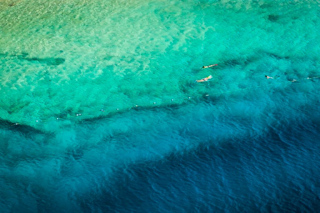snorkeling in Turks & Caicos