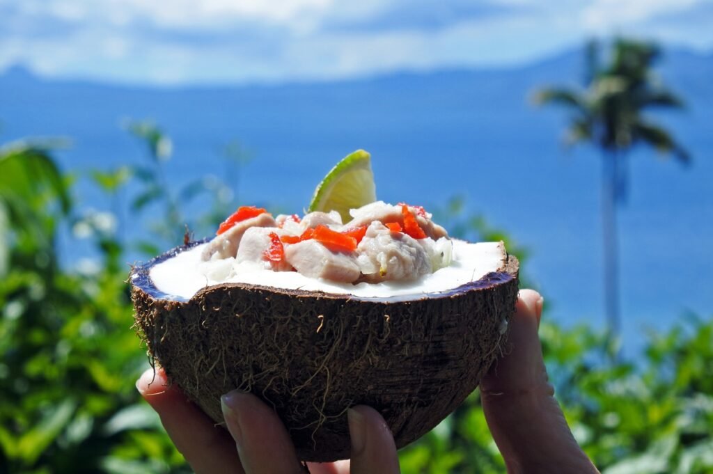 Fijian Food Kokoda against Tropical Island landscape