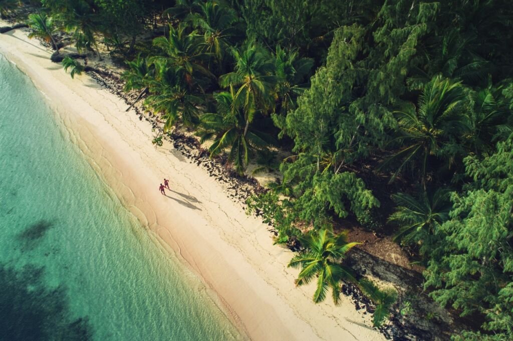 tropical beach from above
