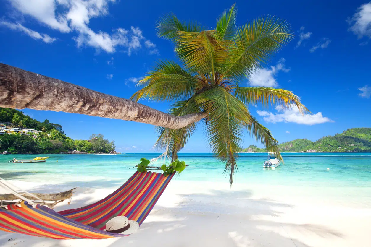 Romantic cozy hammock