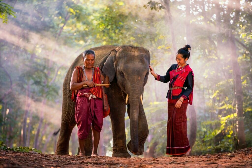 elephant in thailand jungle