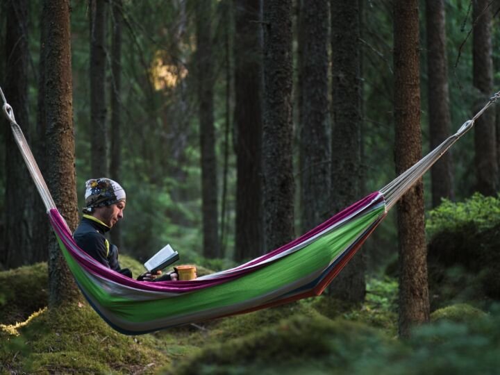 A man sitting in a hammock in a pine forest and reading a book
