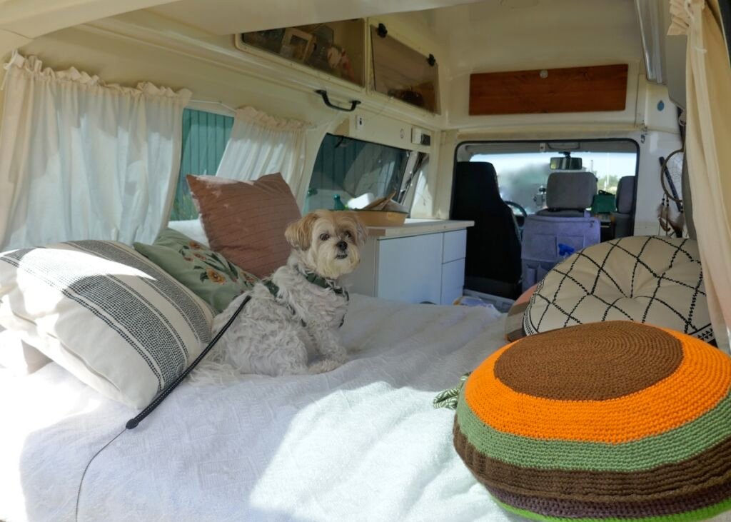  Traveling in a motorhome with a dog. Finished conversion of a disused ambulance to the RV. Installation of a pedestal with storage space, drawers and slatted frame for a bed.
