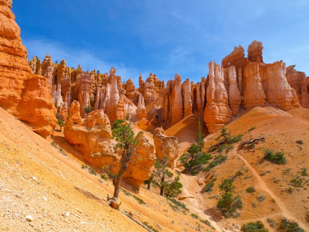Colorful rock formations with green trees in Bryce Canyou, Utah, USA
