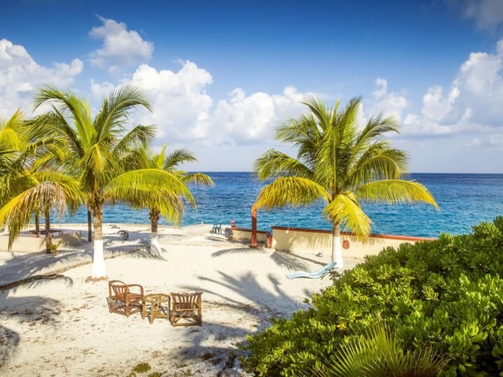 Coast of Cozumel island, Mexico, with palm trees
