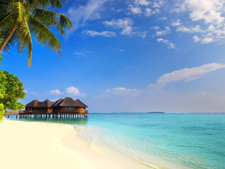 Tropical island with sandy beach, palm trees, overwater bungalows and tourquise clear water