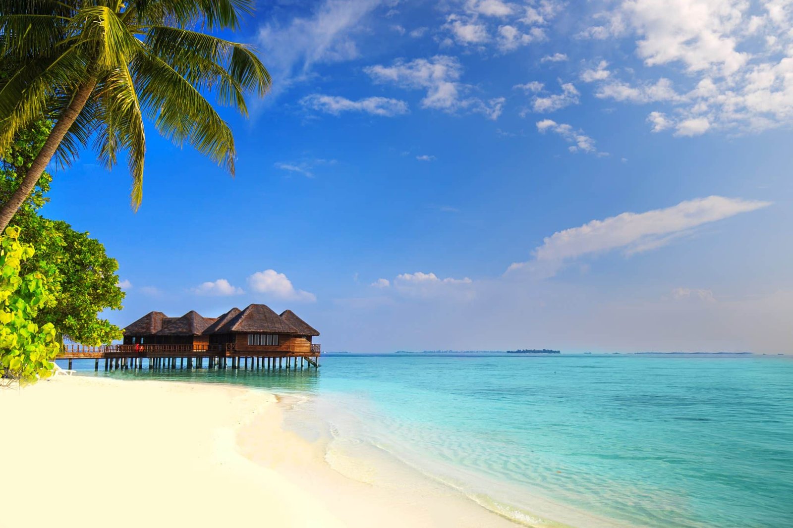 Tropical island with sandy beach, palm trees, overwater bungalows and tourquise clear water