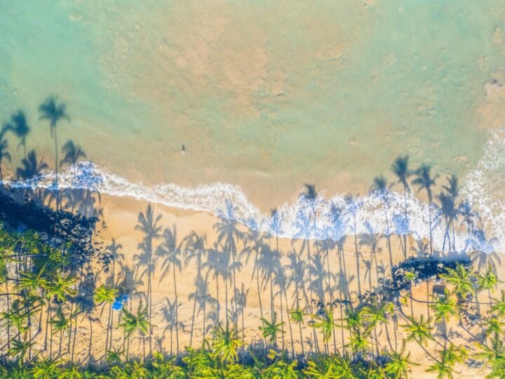 Morning drone view of palms on deserted beach with gentle waves on Maui, Hawaii, USA.