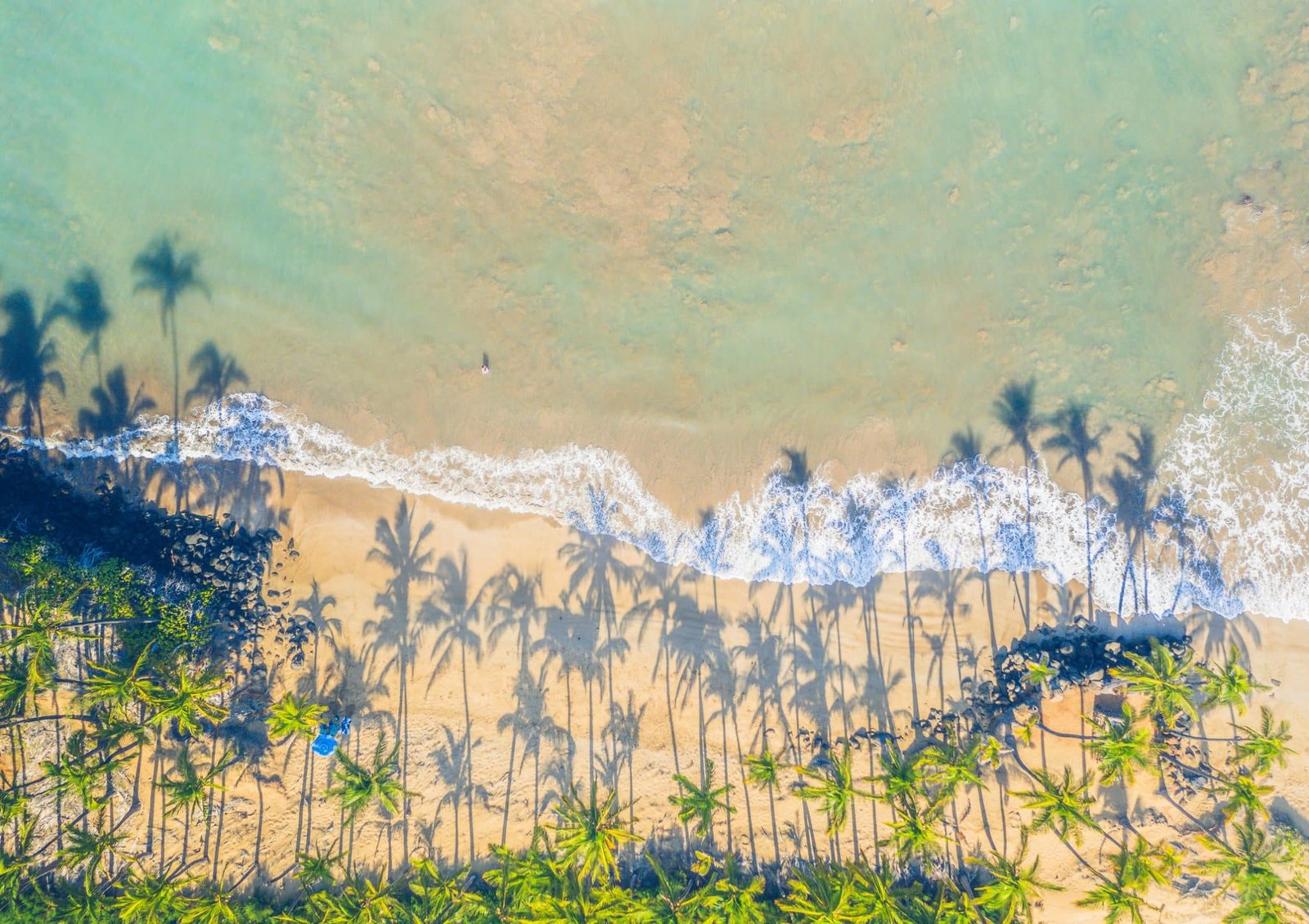 Morning drone view of palms on deserted beach with gentle waves on Maui, Hawaii, USA.