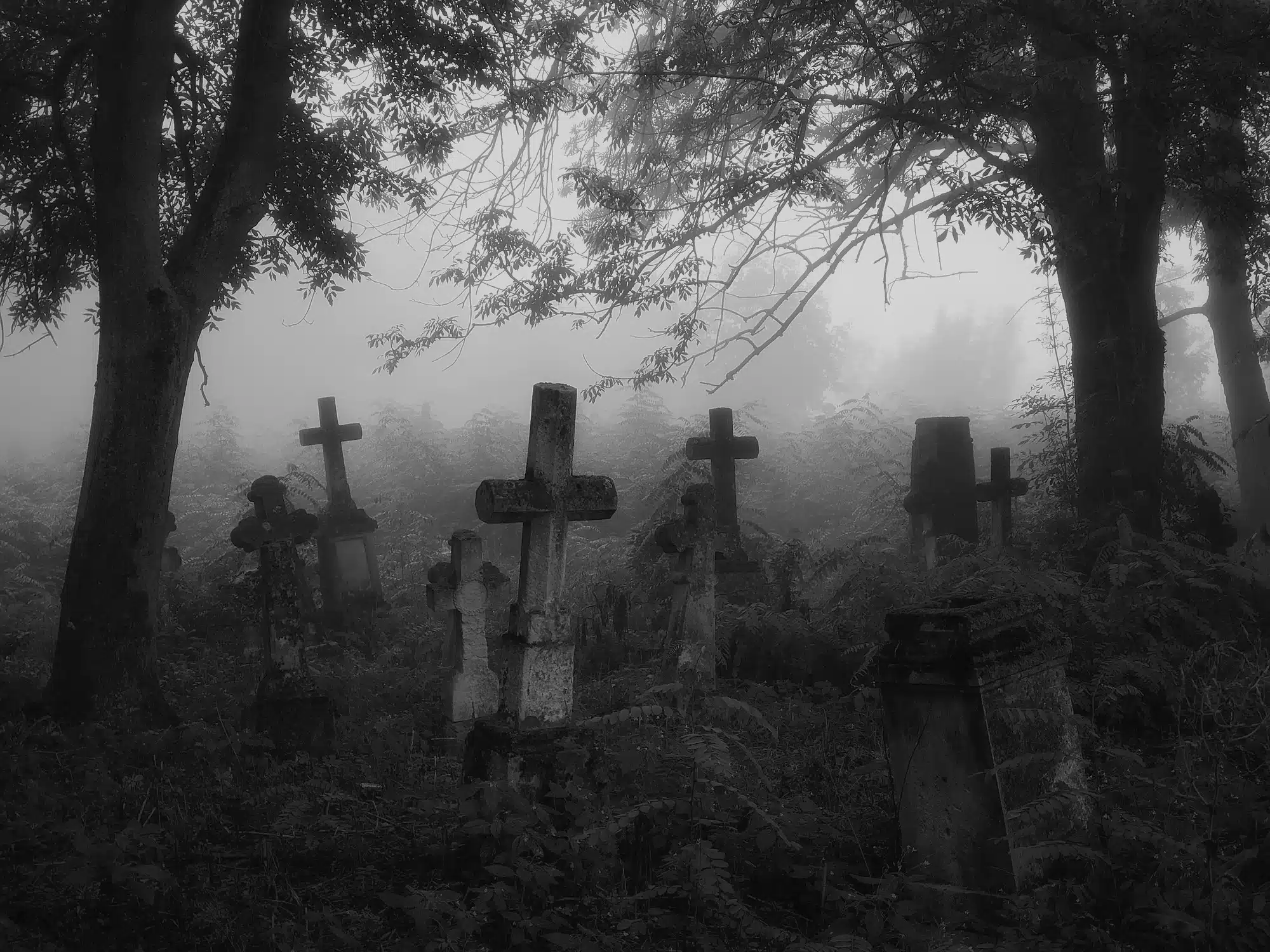 Dark spooky cemetery in the fog. Crosses and graves in the old abandoned cemetery. The atmosphere of death and horror.