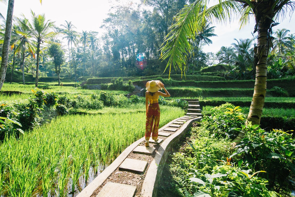 which is better place to visit bali or vietnam