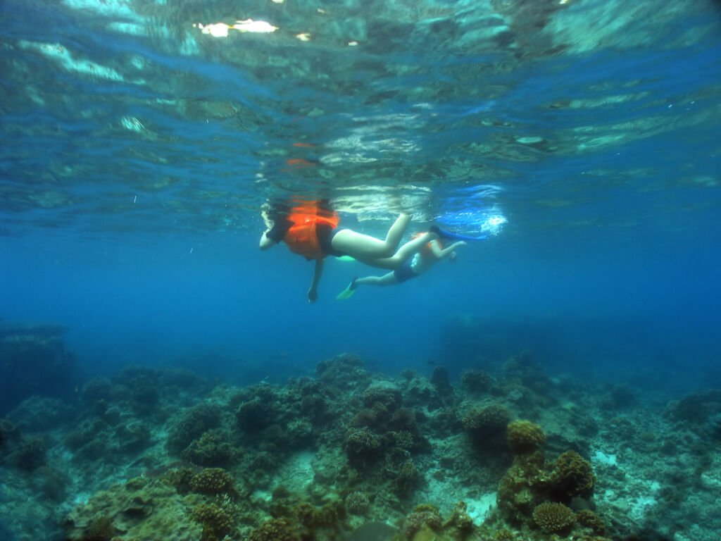 In the pristine waters surrounding Kecil Island, snorkelling unveils a kaleidoscope of marine life beneath the radiant sun. Crystal-clear ocean, a mesmerizing canvas of underwater wonders.
