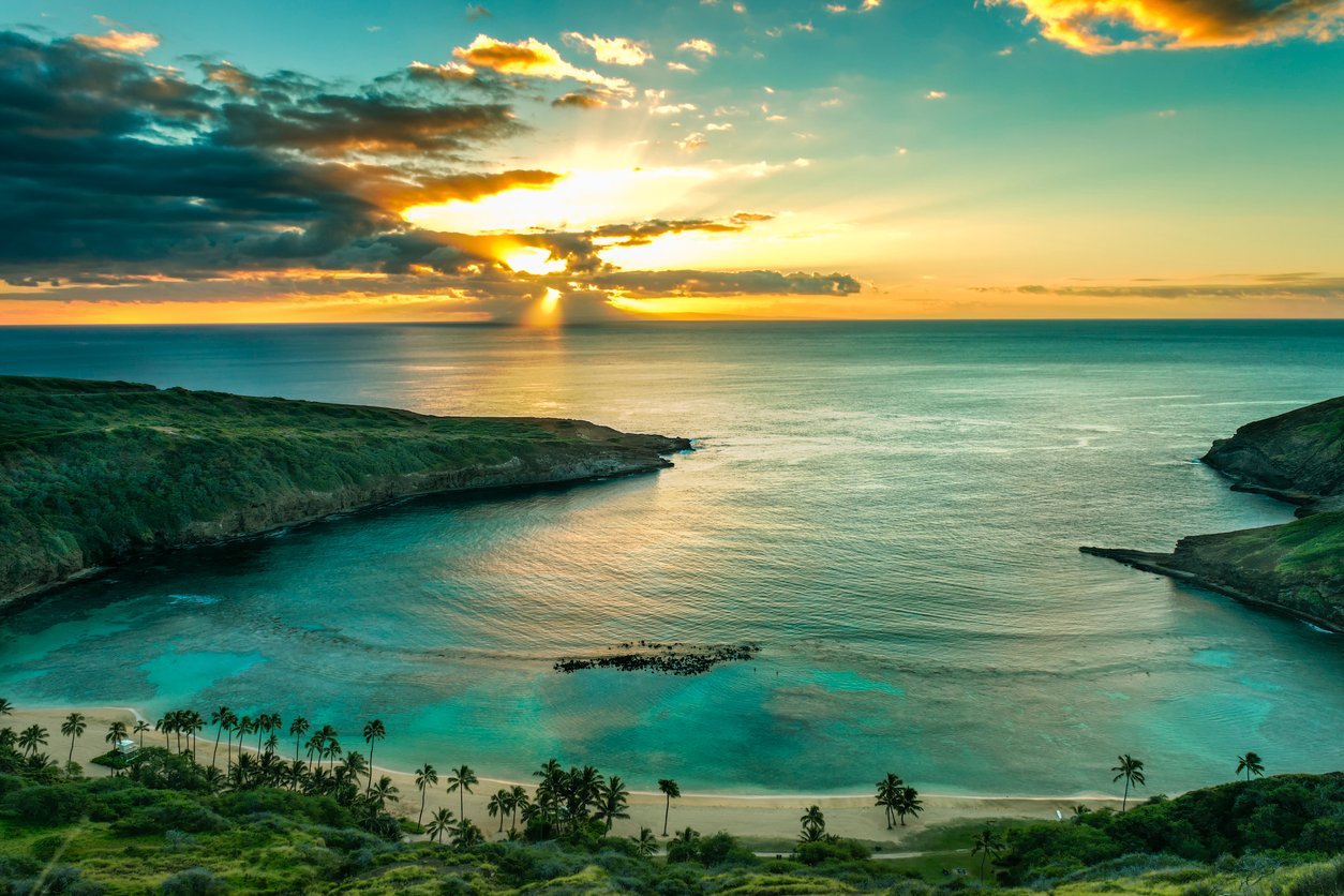 Golden hues embrace Hanauma Bay as the sun ascends, painting the sky with a symphony of warm tones. Silhouetted palm trees stand witness to nature's breathtaking masterpiece over Oahu, Hawaii.