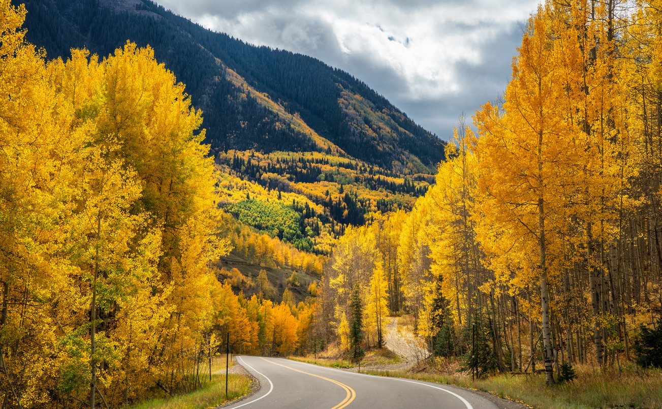 Embark on a visual symphony along Colorado's Scenic Highway 145 near Telluride. Amidst the Rocky Mountains, autumn unveils a breathtaking canvas of fiery foliage and majestic peaks.