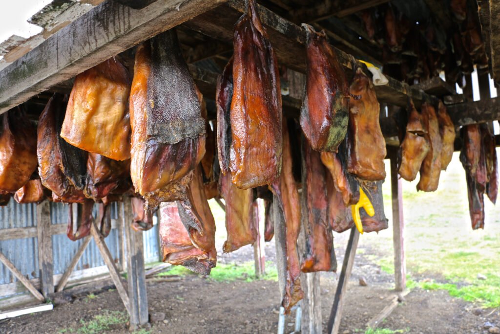Greenland shark meat is a traditional dish prepared through fermentation. Known as "kiviaq," the process involves burying the shark, resulting in a distinct flavor. Consumption is regulated due to potential toxicity.