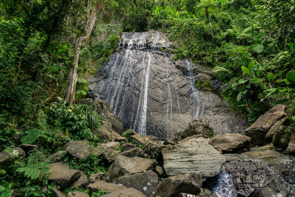 In El Yunque National Rainforest, Puerto Rico, a narrow waterfall cascades gracefully down a wide stone face, framed by lush greenery, whispering serenity amidst nature's grandeur.